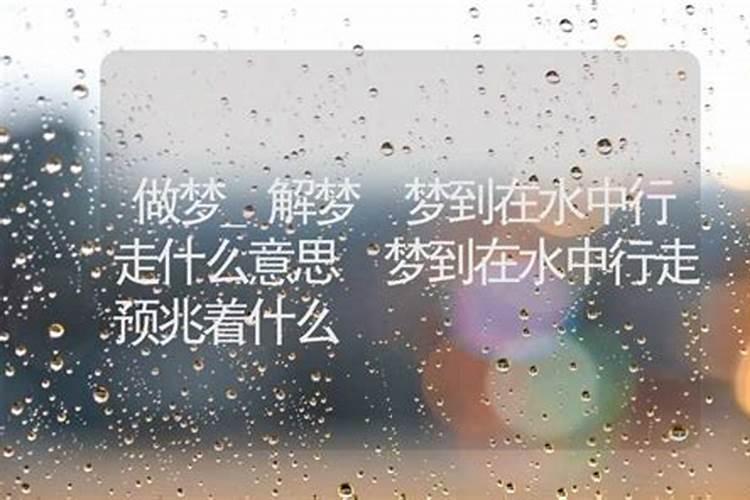 1968年腊月的猴子什么命