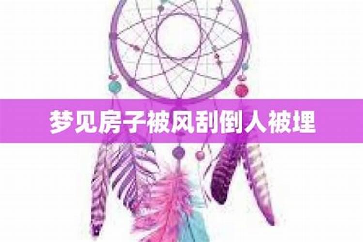 男人梦见大风大浪时飞来只骨骼红色的大雁是什么预兆？