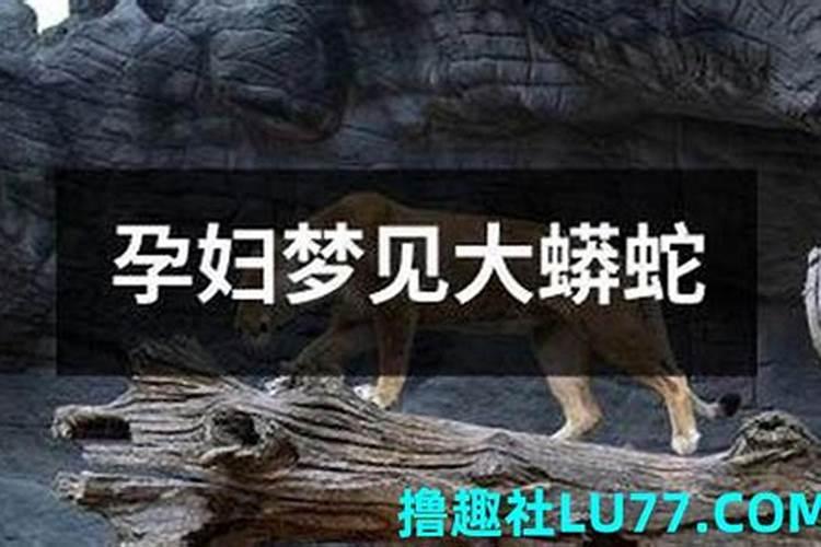 梦见大蟒蛇想攻击自己