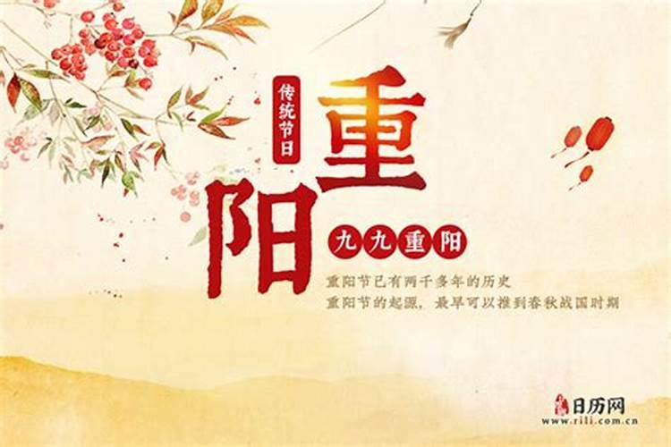 办公工位摆这些盆栽可以防小人