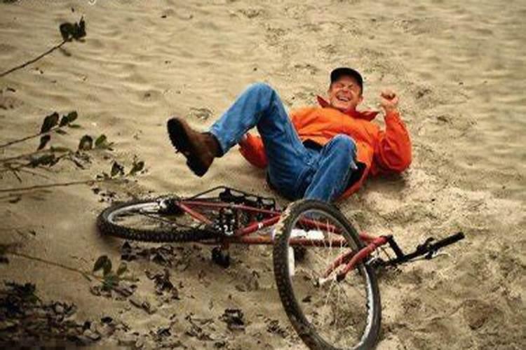 94年的狗在2025年的全年运势