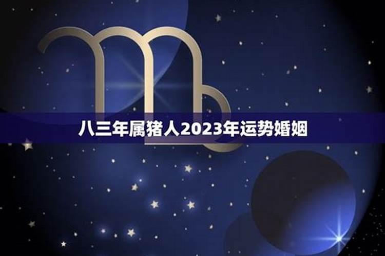八三年的猪2023年运势