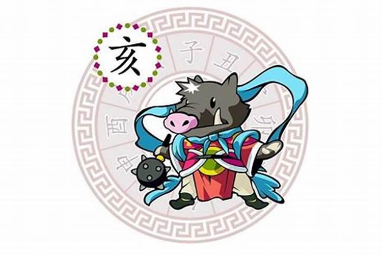 属猪的几月出生最好命