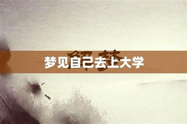 1969年.农历3月16日生人一生运程