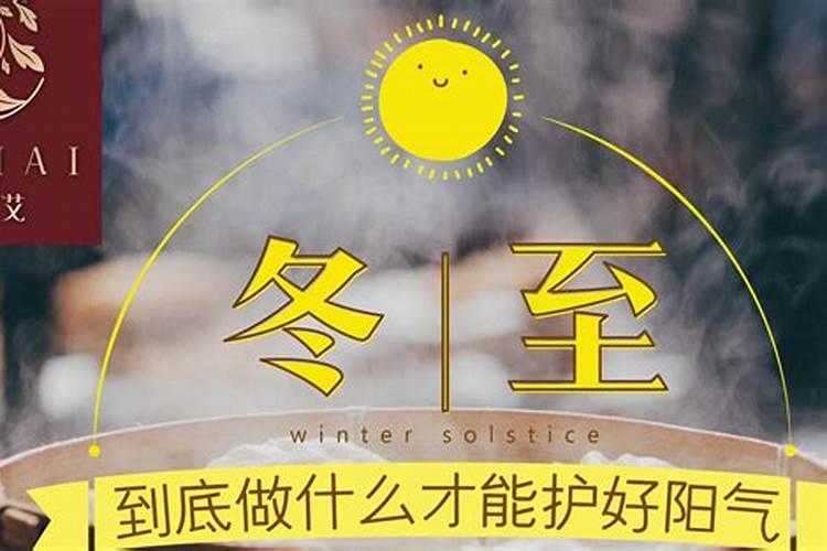生肖马2025年运势建议