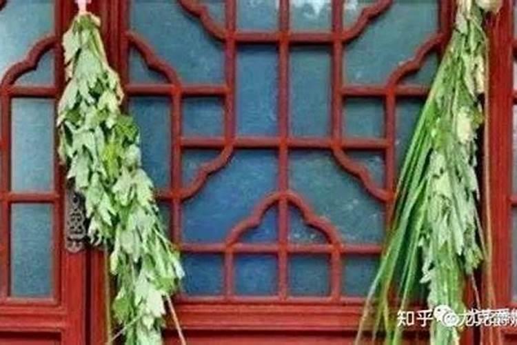 端午节门口艾草插几棵艾草