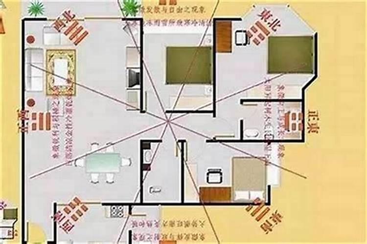 生肖鼠1972年2025年运势如何 生肖鼠1972年2025年全年运势