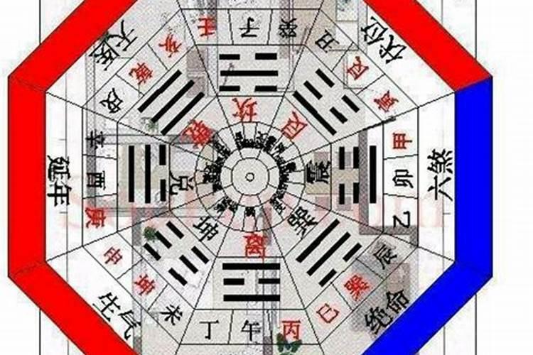 属狗几点出生最好命,亥时丑时寅时戌时
