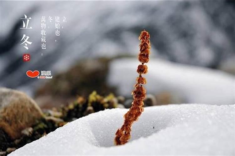 八字带弓箭的说法/