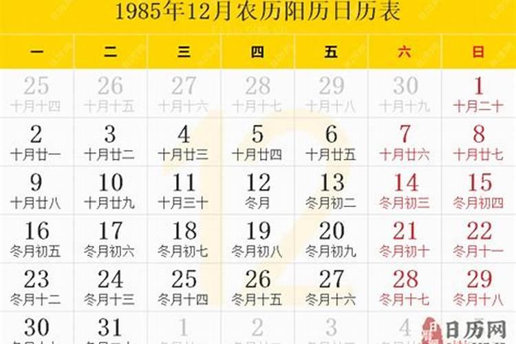 1985年农历9月6曰是什么命运线