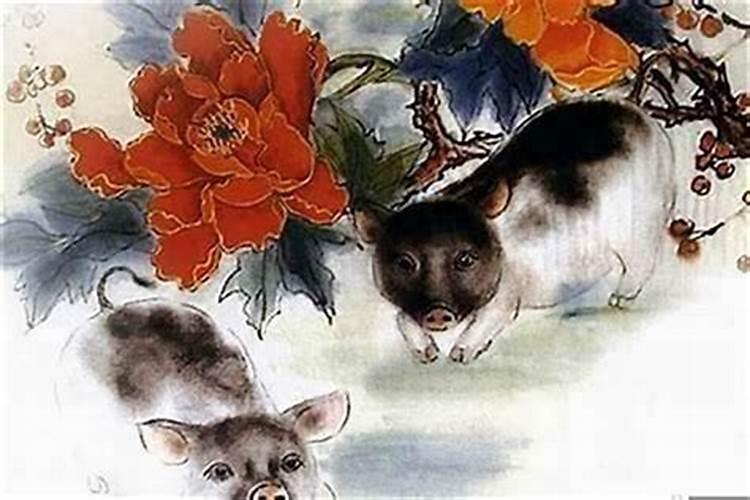 83年农历十一月的猪好不好,1983年属猪十一月生交运月