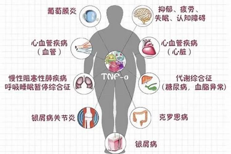 2024年龙年哪几个月出生的宝宝运势最好？