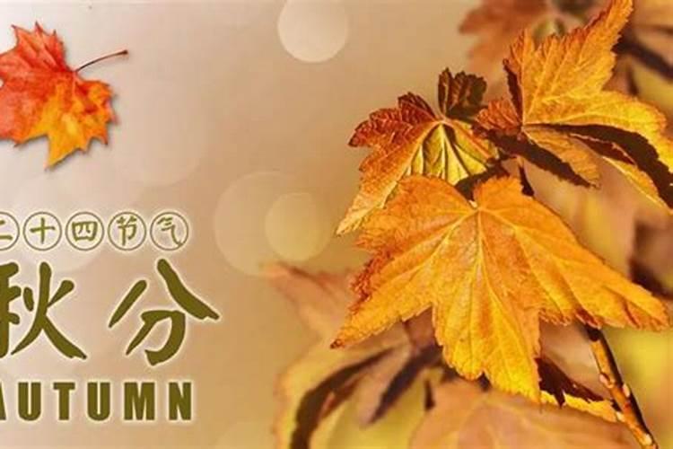 农历秋分是几月几号 传统的“祭月日”
