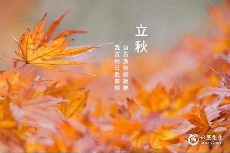 路旁土命缺什么？