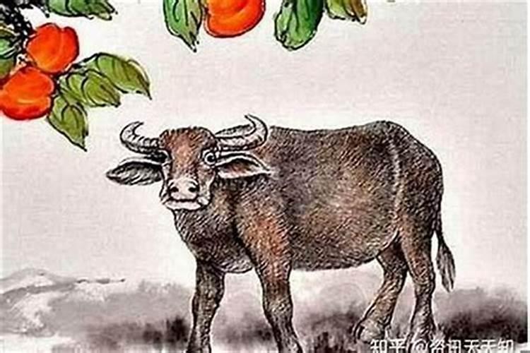 1973年属牛人2024年每月运势