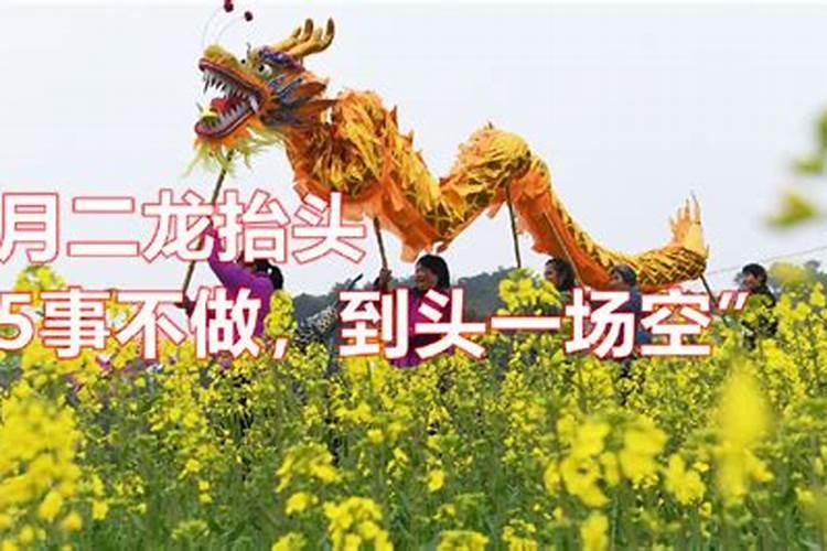 二月二龙抬头有什么忌讳吗