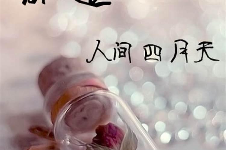 女,1995年农历三月二三和男,1988年农历四月初三八字合吗