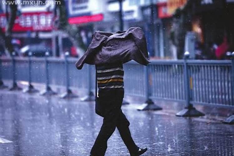 梦见新买的家具被雨淋了的预兆