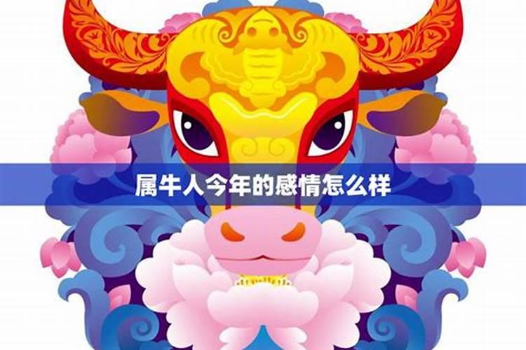 今年韶关清明可以祭祀吗