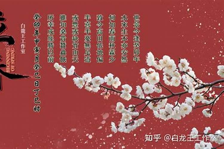 属兔跟属鼠婚配合适吗兔和鼠配婚姻好不好