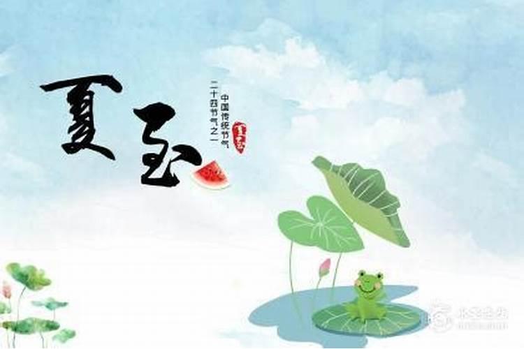 夏至出生的男孩