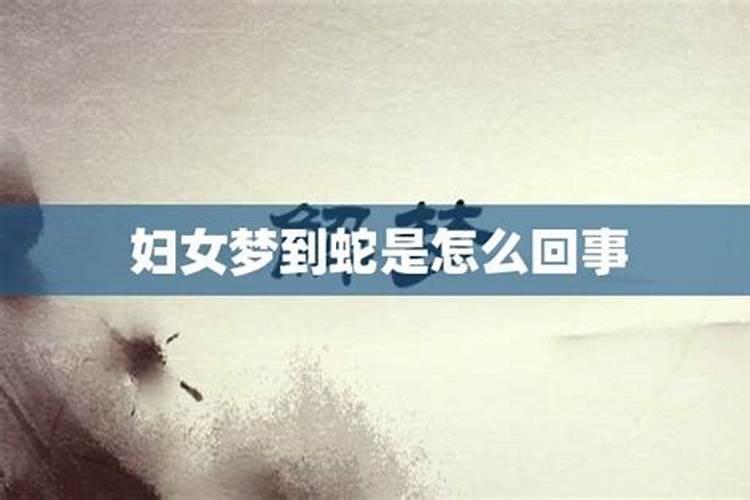 女人梦见蛇的七大预兆？
