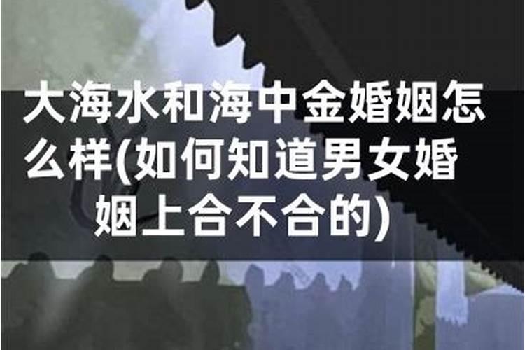 天上火命和大海水命能组合在一起吗