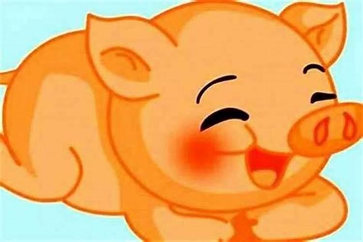 属猪与属猪婚姻合不合男女双方皆属猪不利于财运发展？
