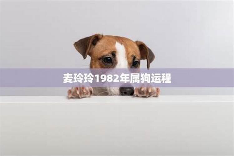 梦见去世的外婆做饭的预兆