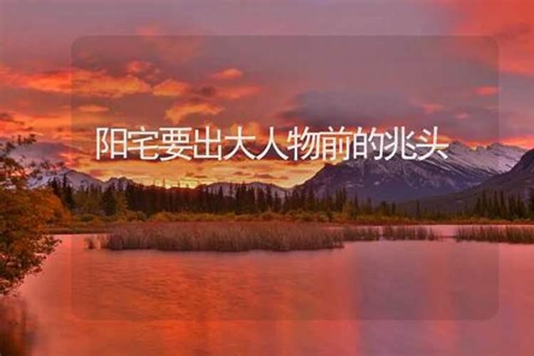 1988年属龙男2025年每月运势及运程