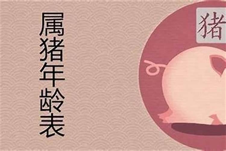 生肖猪2024年全年运势及运程详解