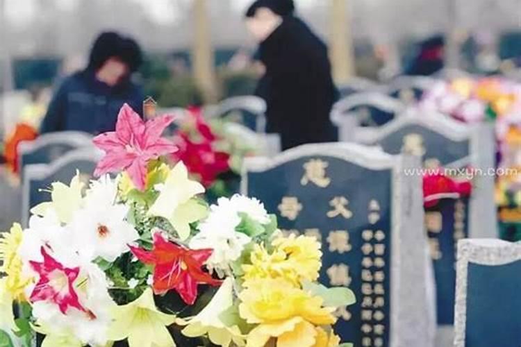 77年属蛇2025的运势及运程如何