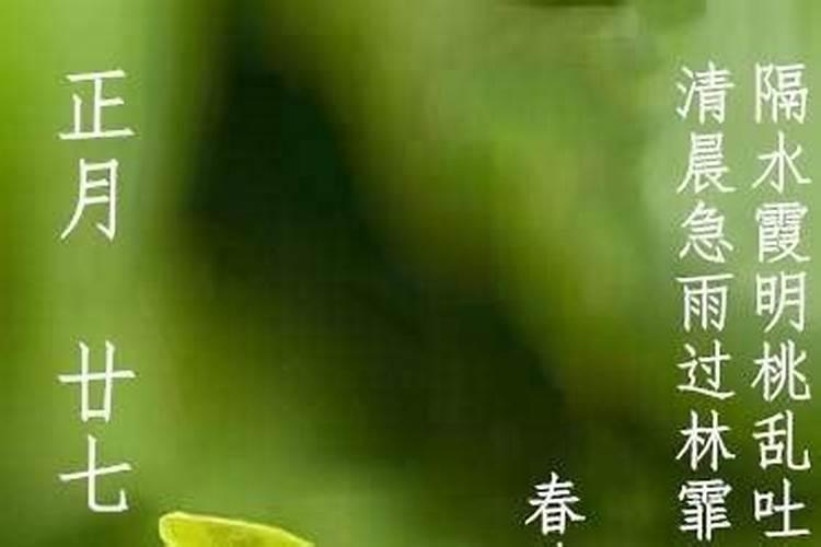 梦见红色鲤鱼的预兆