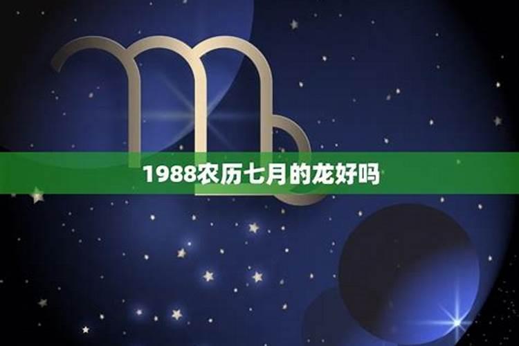 1988年属龙男2025年每月运势及运程