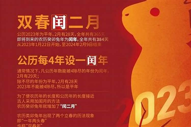 生肖兔1999年2025年运势如何 生肖兔1999年2025年全年运势