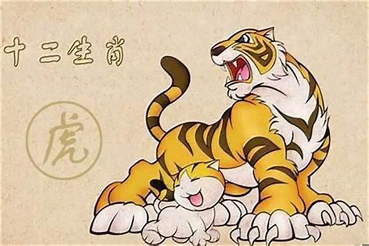 96年鼠和98虎八字合不合 虎和鼠相冲吗？