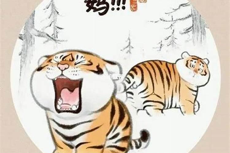 生肖猪2025年全年运势