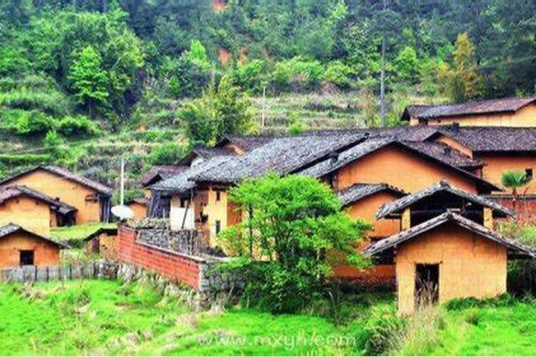 74年属虎51岁2025全年运程