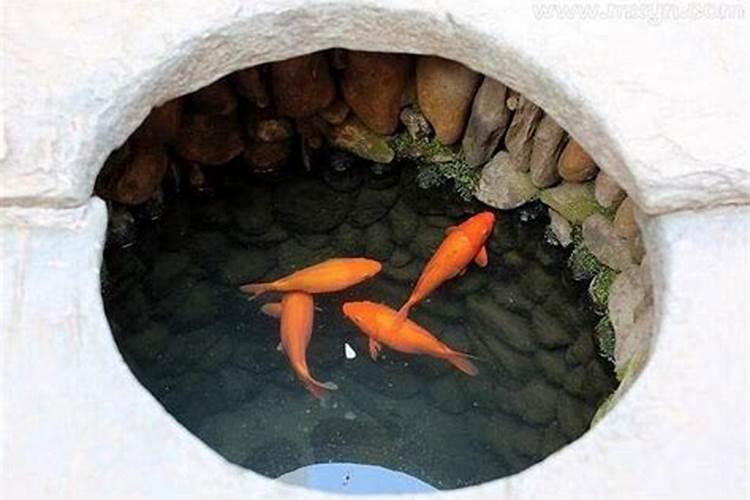 梦见水井的水满了的预兆