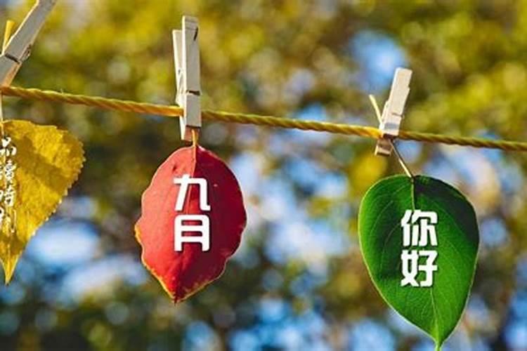 男八月属鸡和女九月属猪的八字合吗