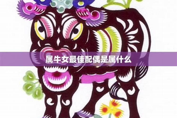 属相配对 属牛的女人配对属相婚配表？