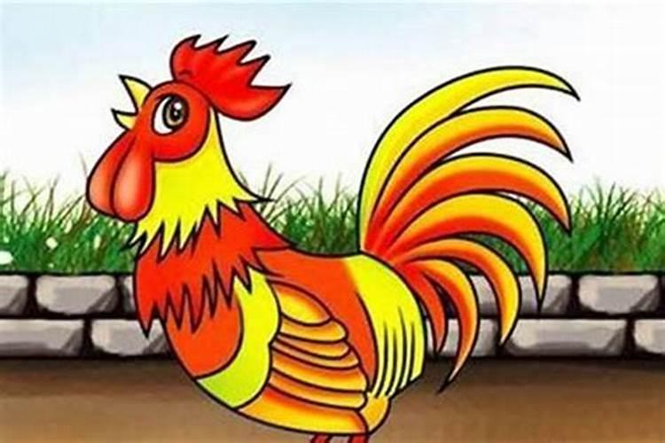 属鸡和属猪的婚姻如何