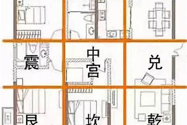 梦见自己和孩子被狮子老虎追着跑预示着什么意思