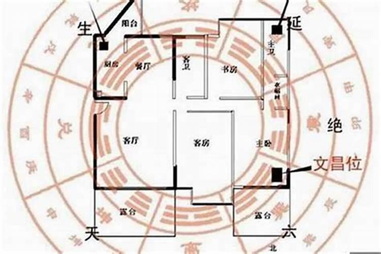 周公解梦梦见被老虎追是什么意思 梦见被老虎追好不好