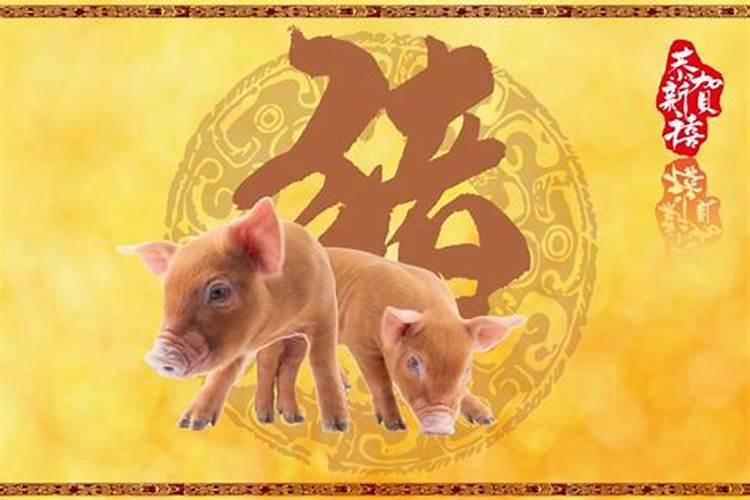 属猪亥时出生的男孩女孩命运如何