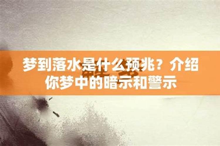 属羊最命苦的出生月份