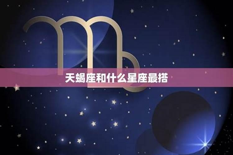 属龙的和属狗的配吗？