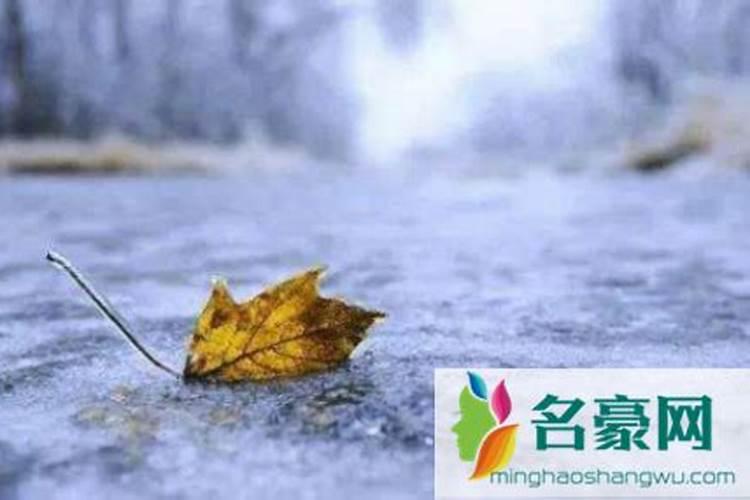 开封烈士陵园清明节可以祭拜吗