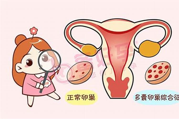 本命年怀孕生孩子的讲究