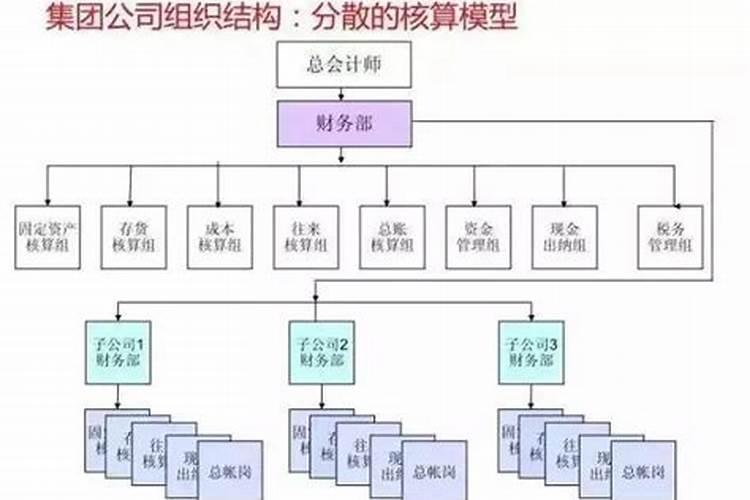 九五年闰八月的猪命非常好